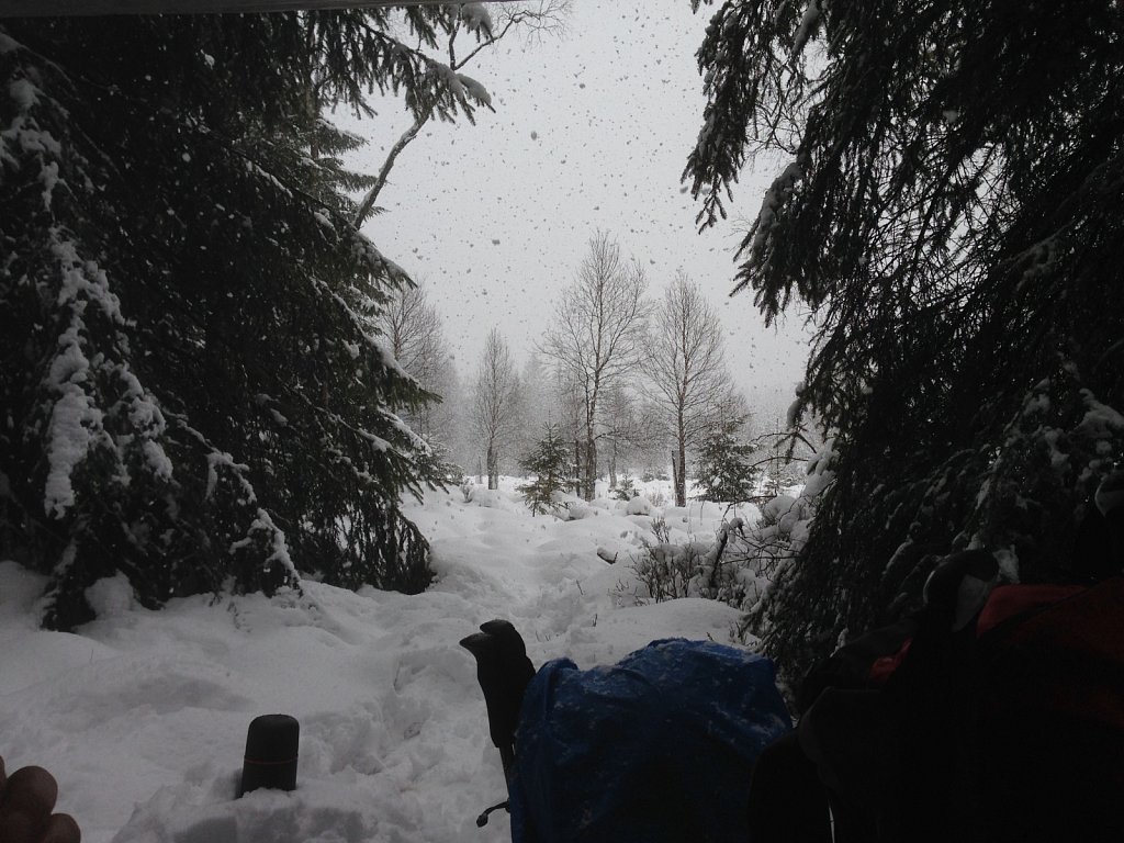 IMG-2381.jpg