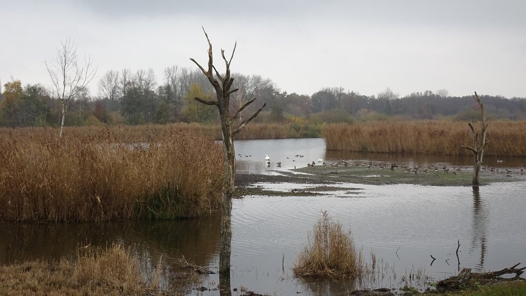 Kempenbroek-190.JPG