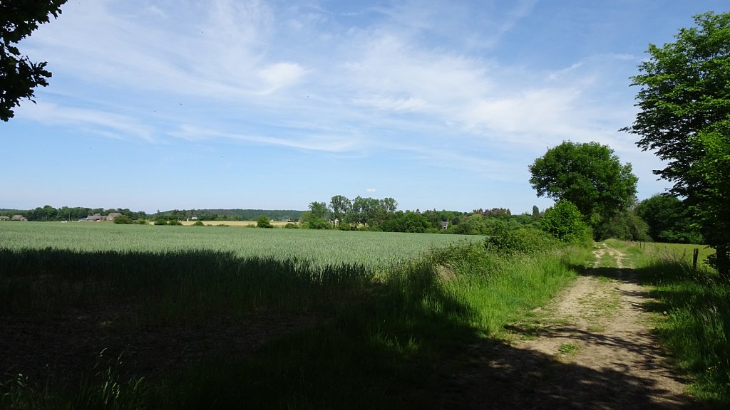 Wierde-190.JPG