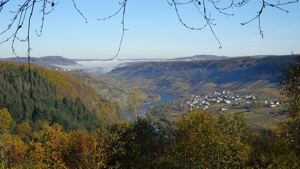 Moselle2022-329.JPG