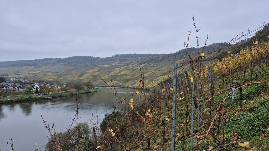 Mosel-102.jpg