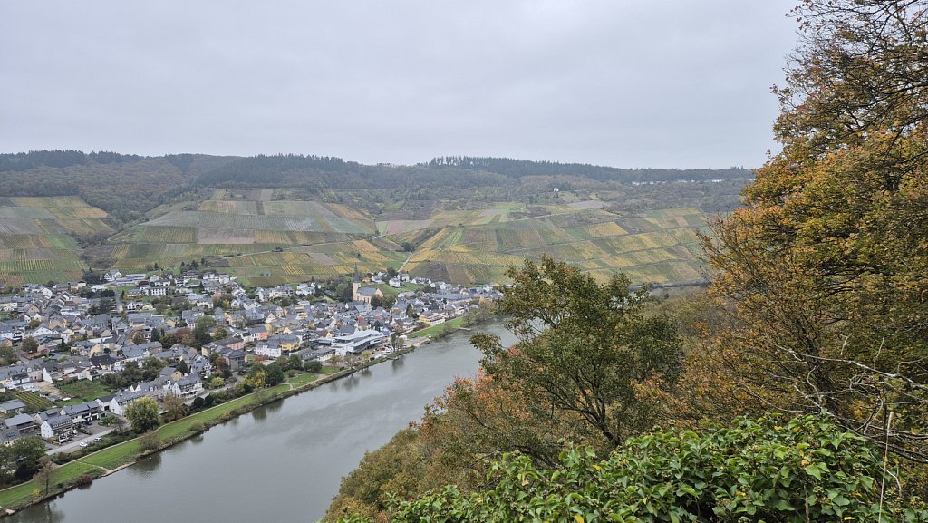 Mosel-105.jpg