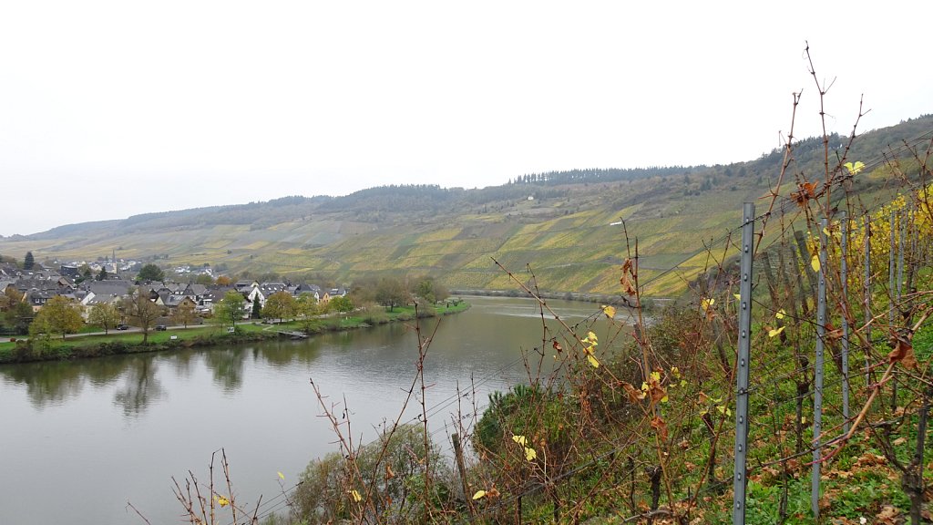 Mosel-112.JPG