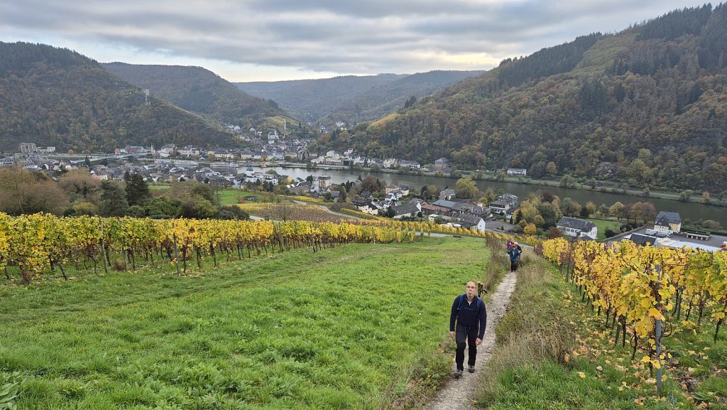 Mosel-150.jpg