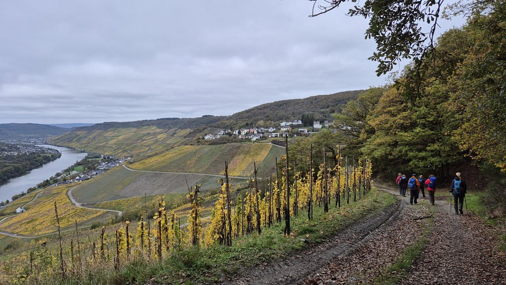 Mosel-233.jpg