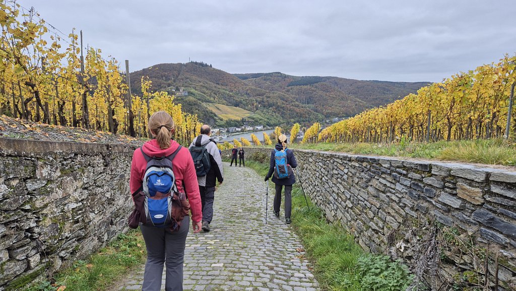 Mosel-246.jpg