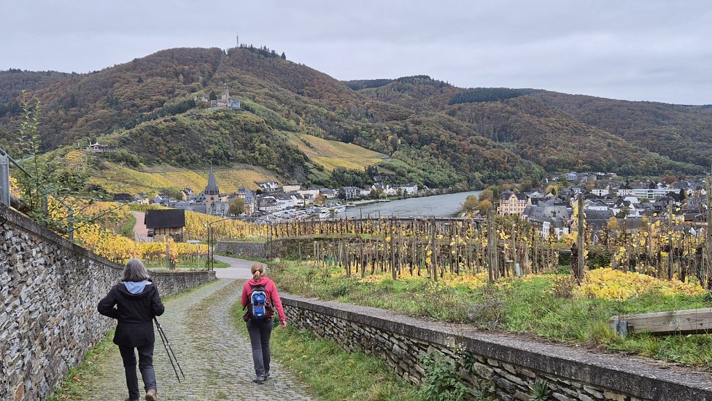 Mosel-247.jpg