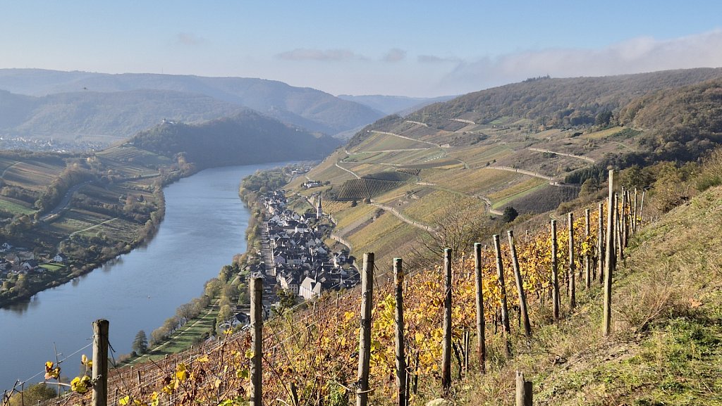 Mosel24-906.jpg