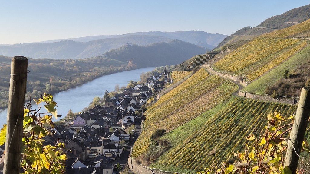 Mosel24-918.jpg