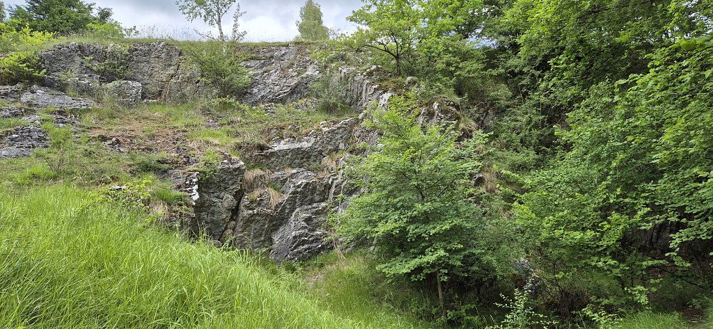 Nismes-155.jpg