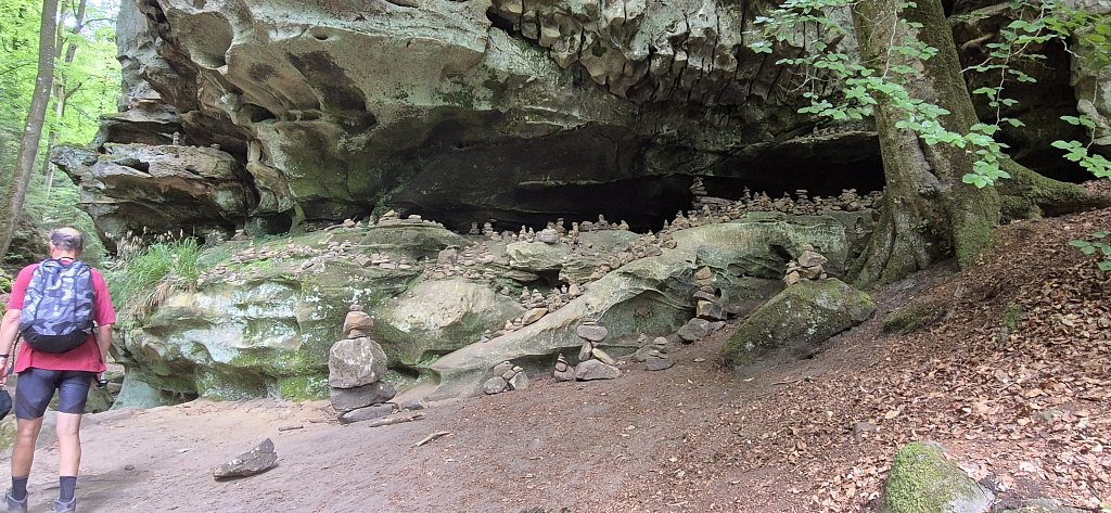PetiteSuisse-180.jpg
