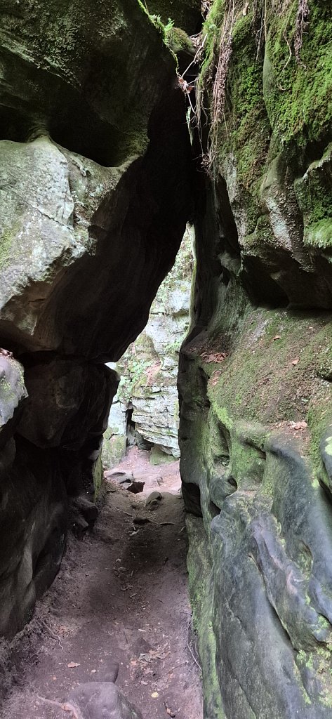 PetiteSuisse-184.jpg