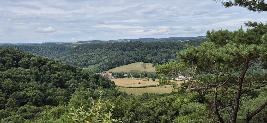 PetiteSuisse-241.jpg