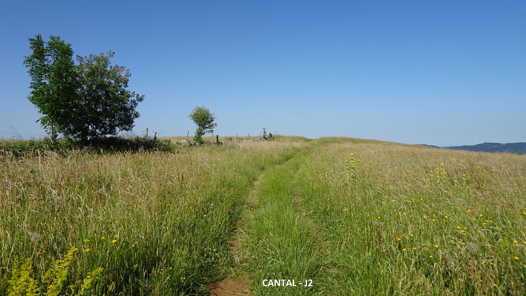 Cantal-241.JPG