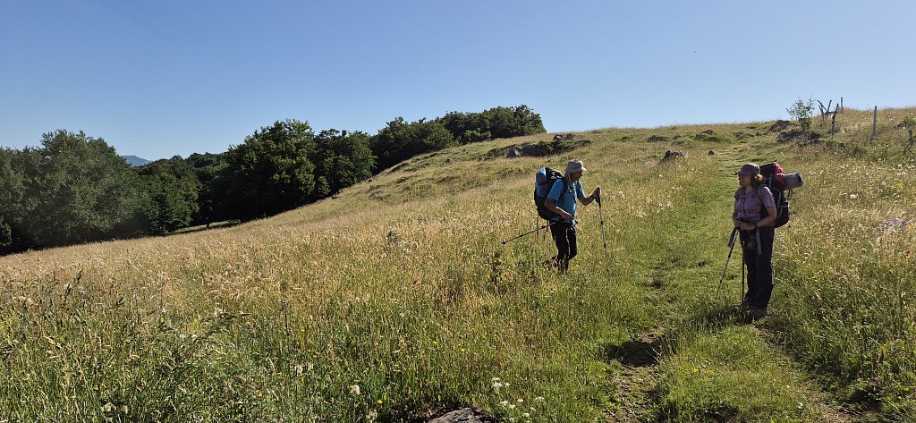 Cantal-242.jpg