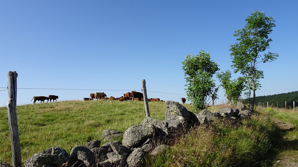 Cantal-247.JPG