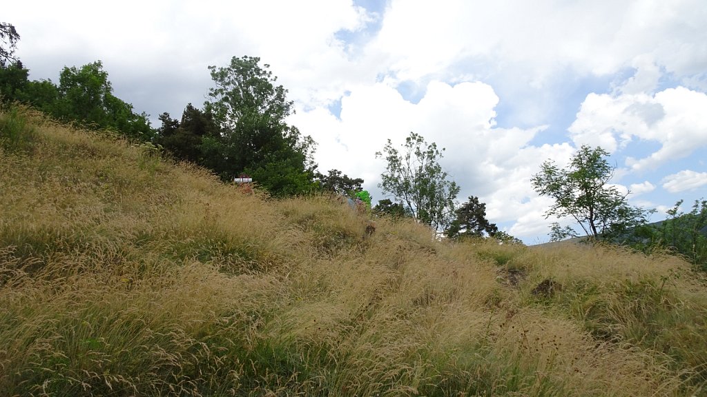 Cantal-289.JPG