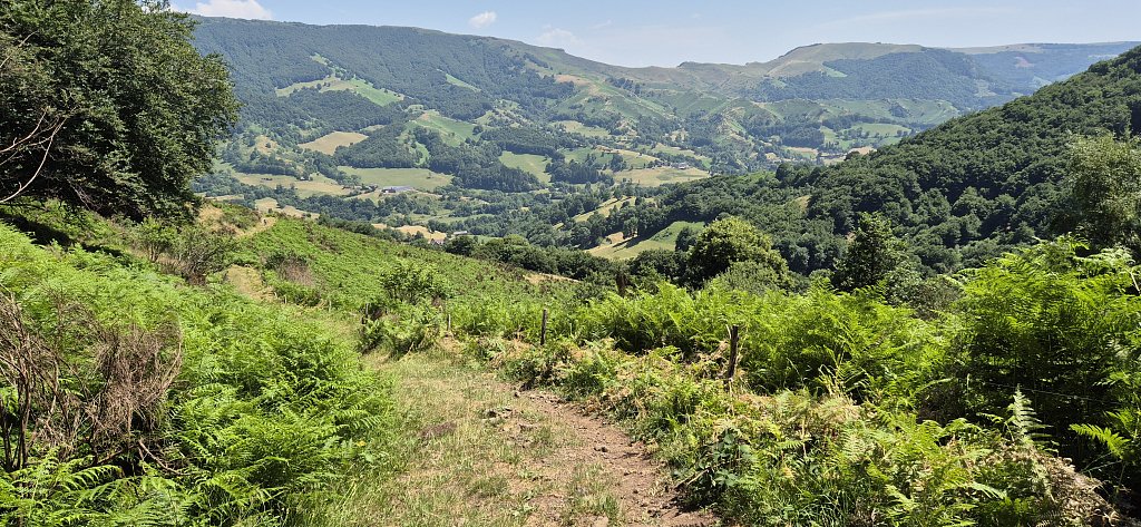Cantal-380.jpg