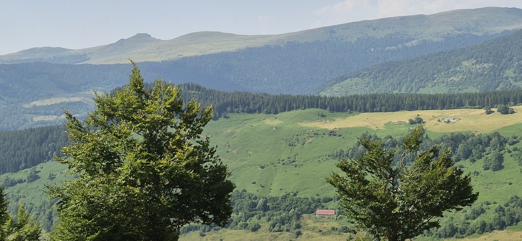 Cantal-391.jpg
