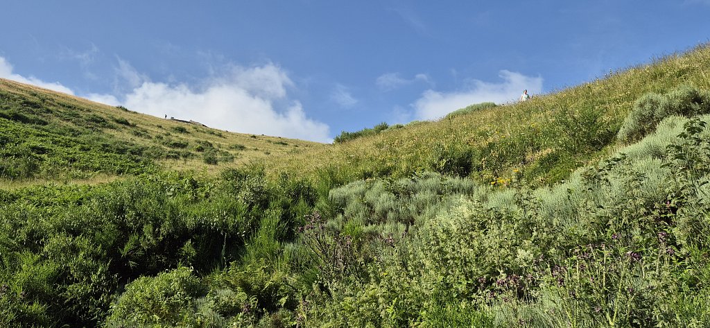 Cantal-399.jpg
