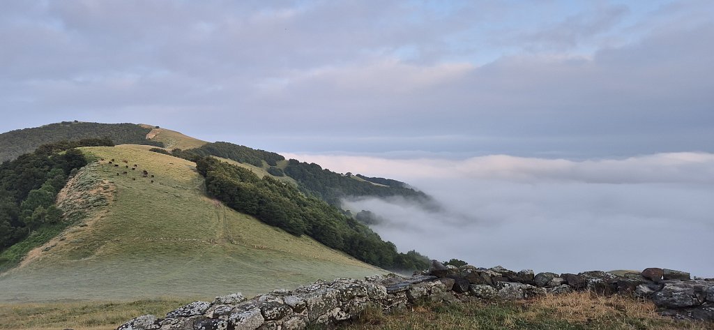 Cantal-409.jpg