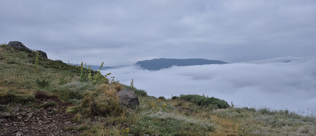 Cantal-415.jpg