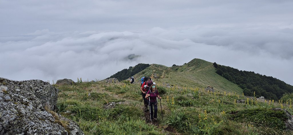 Cantal-416.jpg