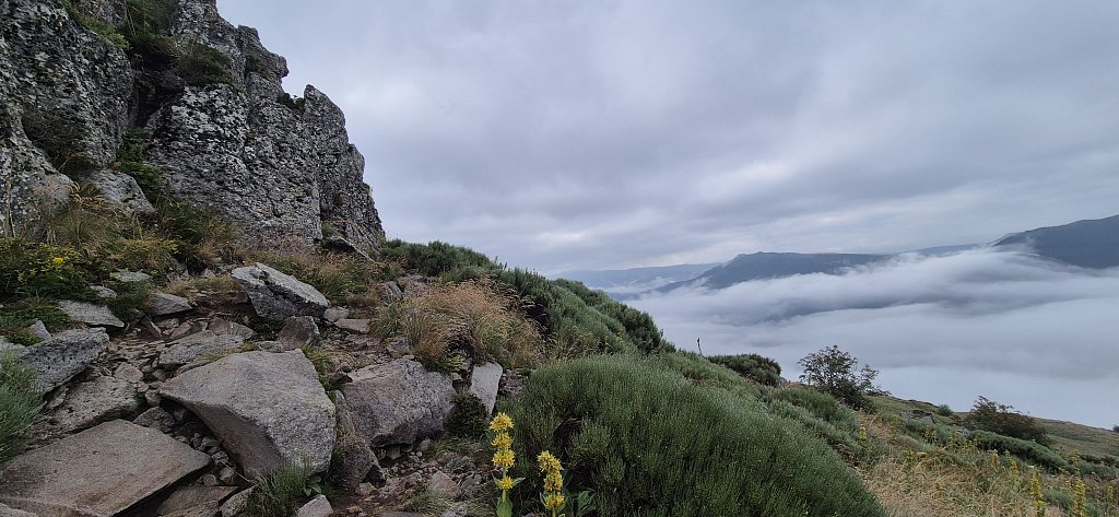 Cantal-418.jpg