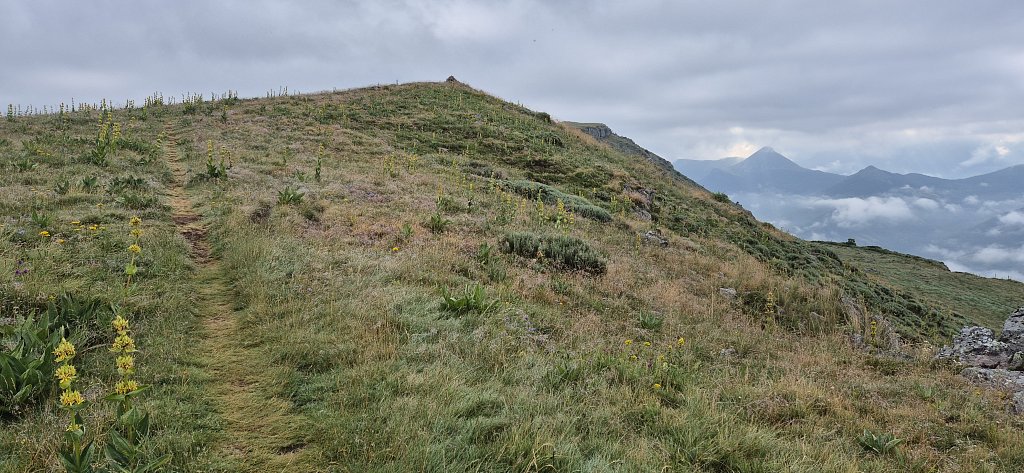 Cantal-423.jpg