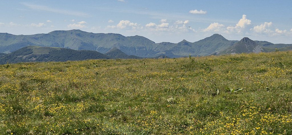 Cantal-204.jpg