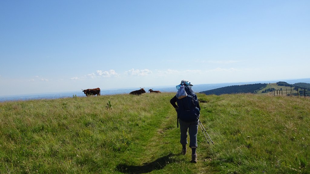 Cantal-224.JPG