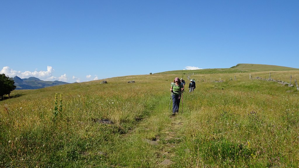 Cantal-229.JPG