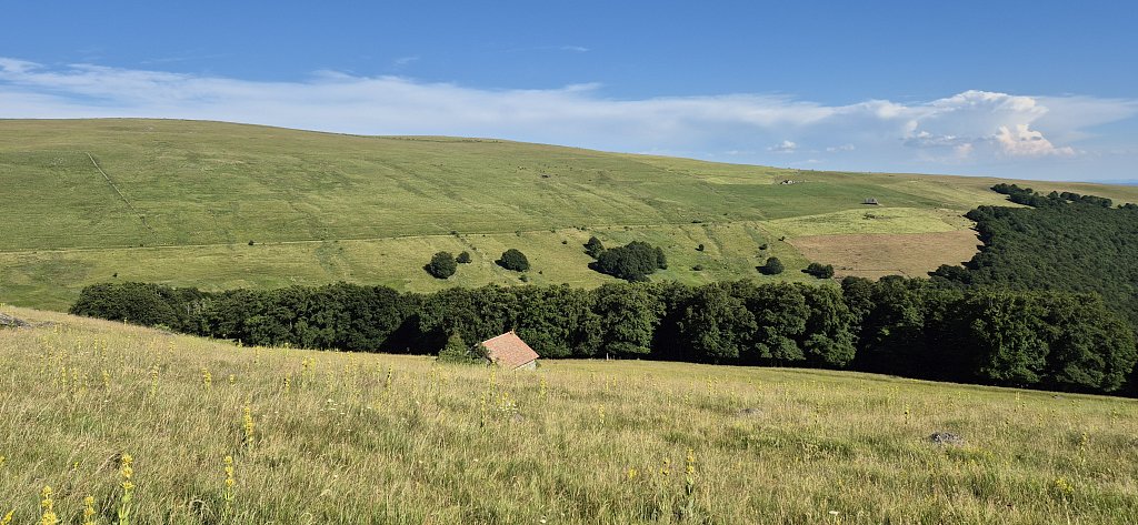 Cantal-231.jpg