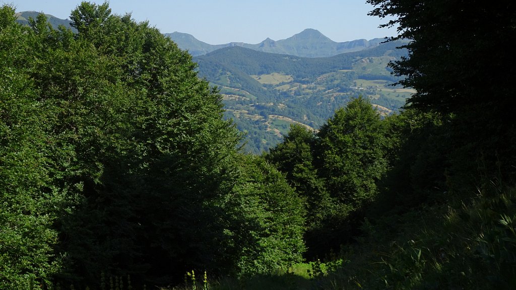 Cantal-258.JPG