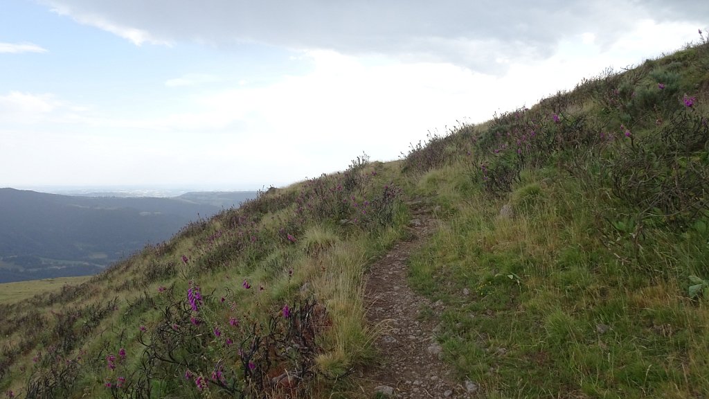 Cantal-298.JPG