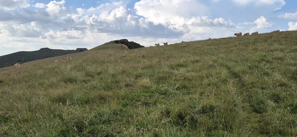 Cantal-304.jpg