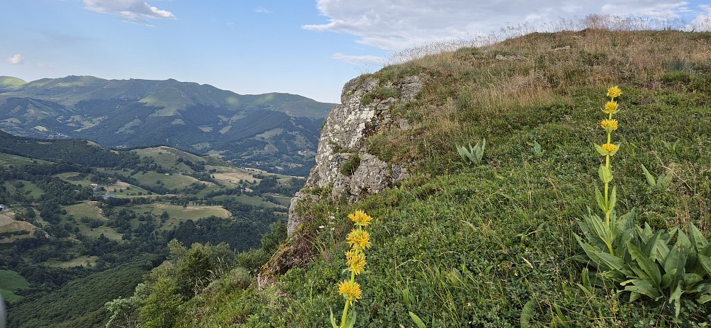 Cantal-315.jpg