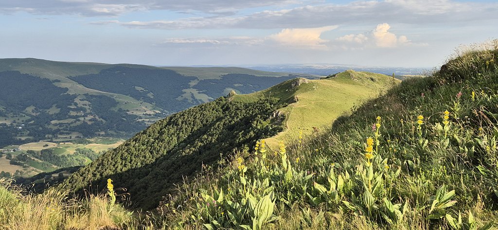 Cantal-320.jpg