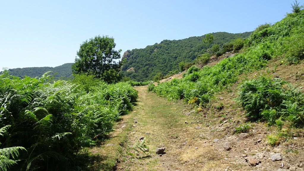 Cantal-368.JPG