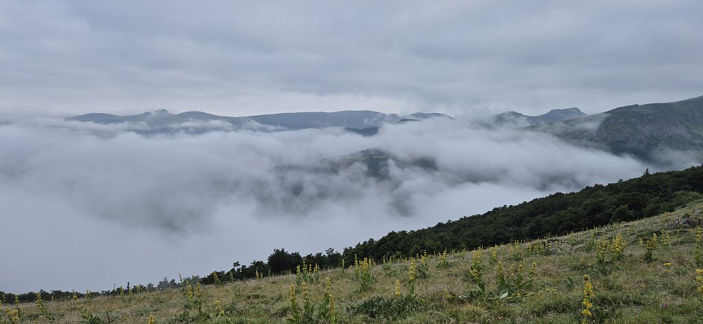 Cantal-413.jpg