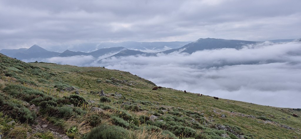 Cantal-419.jpg