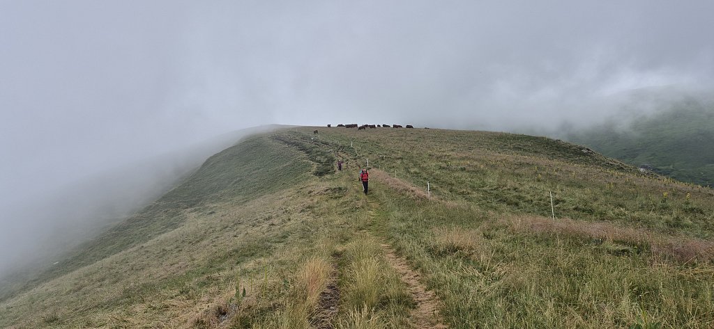 Cantal-462.jpg