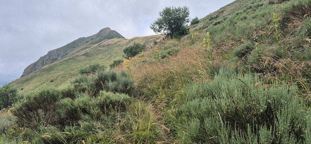 Cantal-468.jpg