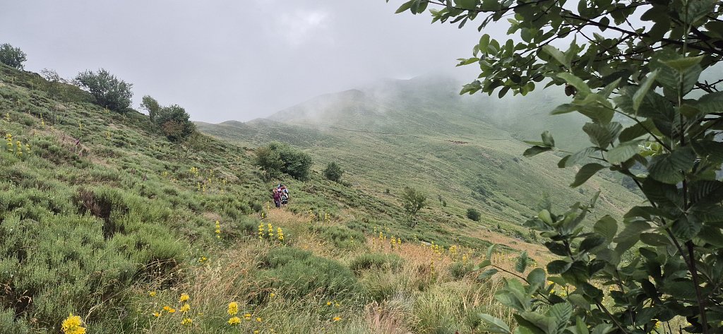 Cantal-469.jpg