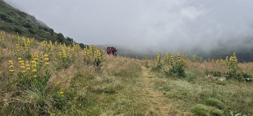 Cantal-474.jpg