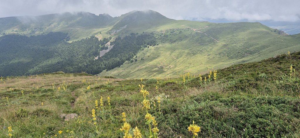 Cantal-475.jpg