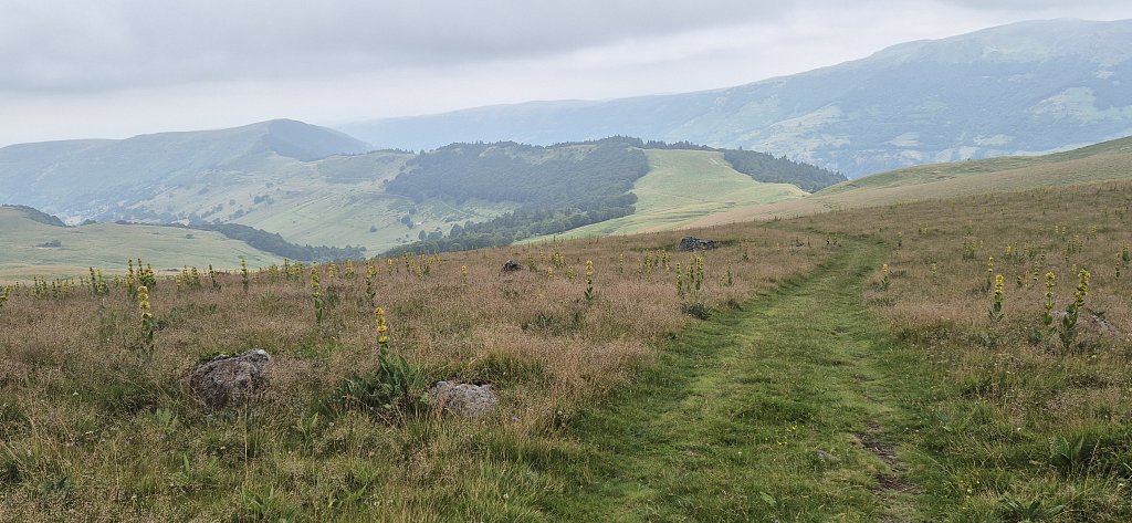 Cantal-485.jpg