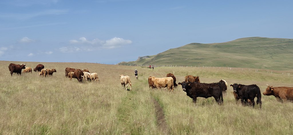 Cantal-535.jpg