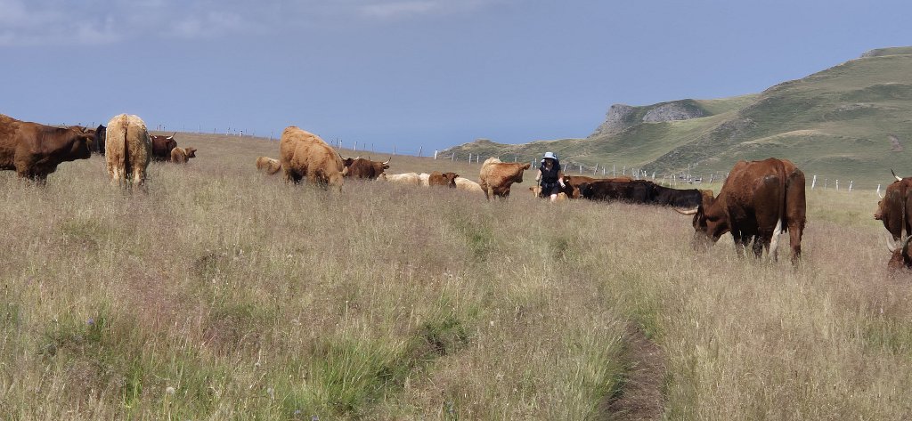 Cantal-537.jpg