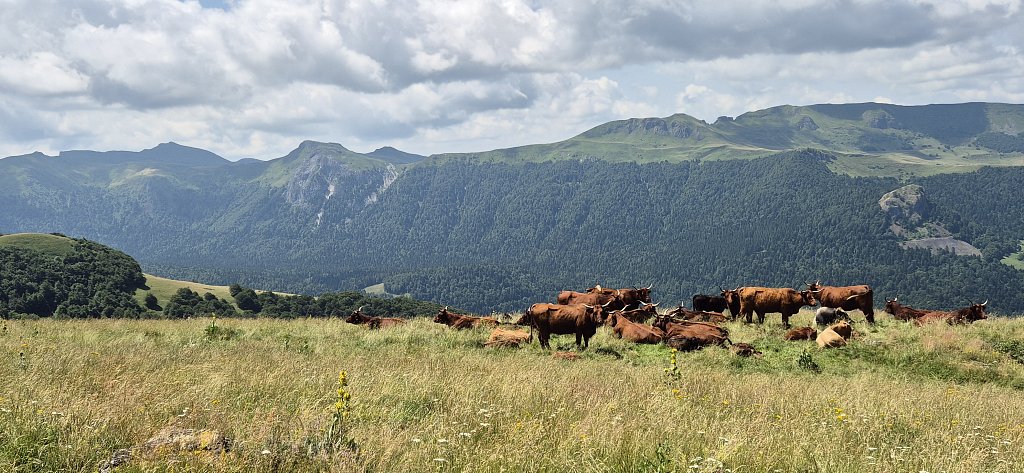 Cantal-551.jpg
